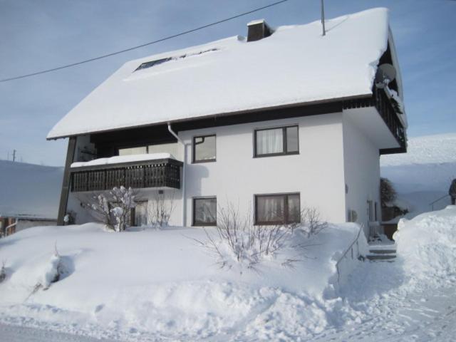 Apartmán Haus Janssen-Wehrle Titisee-Neustadt Exteriér fotografie