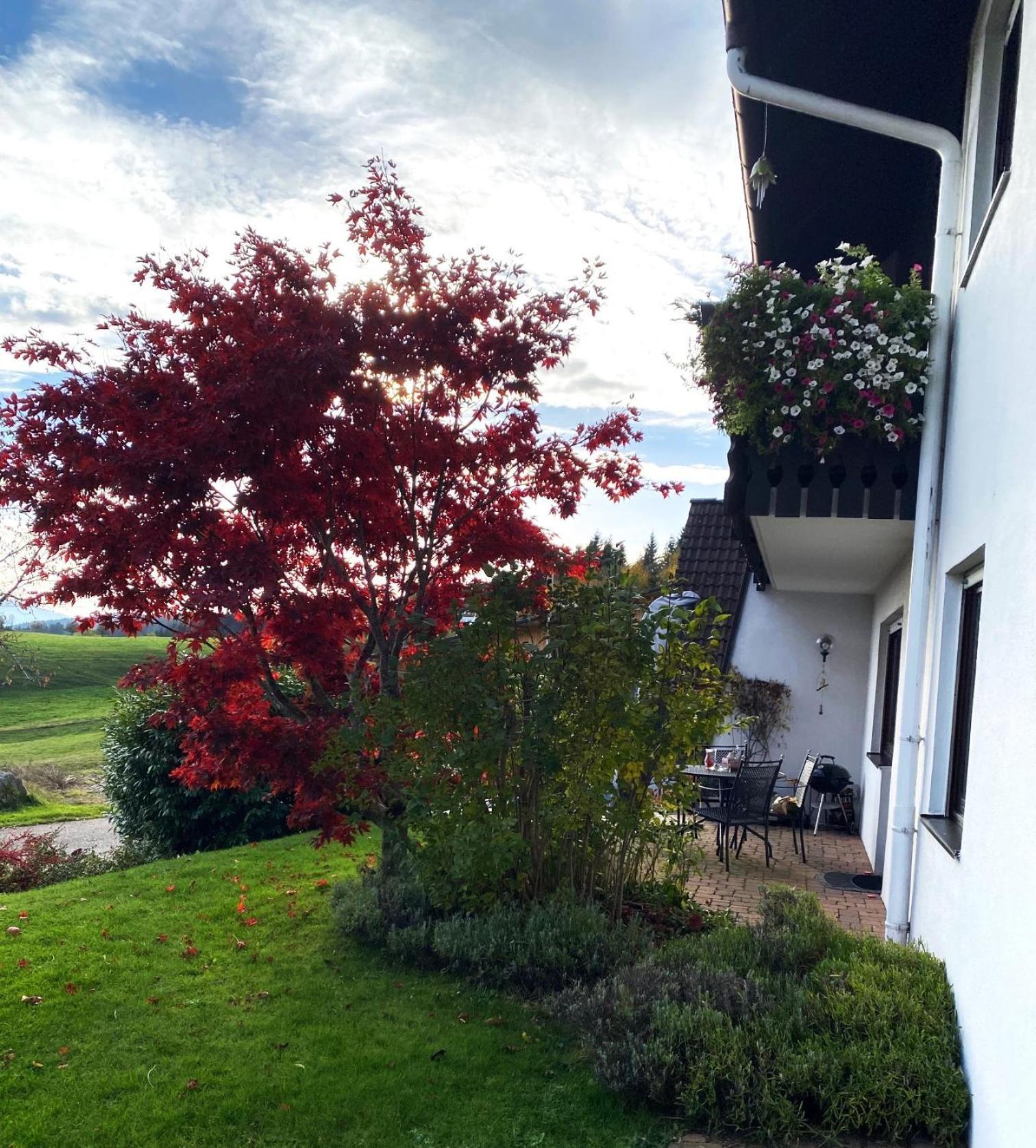 Apartmán Haus Janssen-Wehrle Titisee-Neustadt Exteriér fotografie